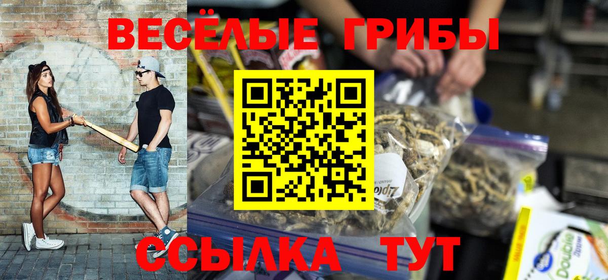 Галлюциногенные грибы MAGIC MUSHROOMS  Вход с VPN  Псилоцибиновые грибы прущие грибы  Ликино-Дулёво 
