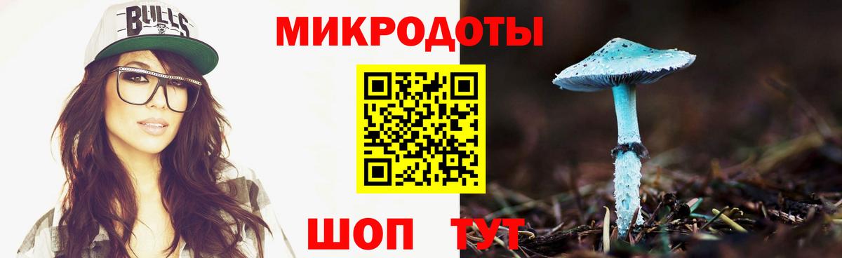 Псилоцибиновые грибы Psilocybe Ликино-Дулёво